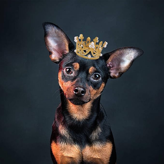 PET SHOW 2pcs Small Dog Crown Headband Puppies Rabbit Cat Hat for Birthday Party Silver Gold Rhinestone Faux Pearl Crown for Boy Girl Wedding Hair Accessories Photo Prop Costume