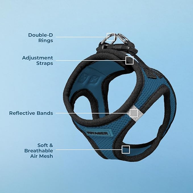 Voyager Step-in Air Dog Harness - All Weather Mesh, Reflective, No Pull Harness for Small, Medium Dogs, Cats - Secure with Hook & Loop Fastener, Buckle, Double D-Rings - Blue/Black Trim, L