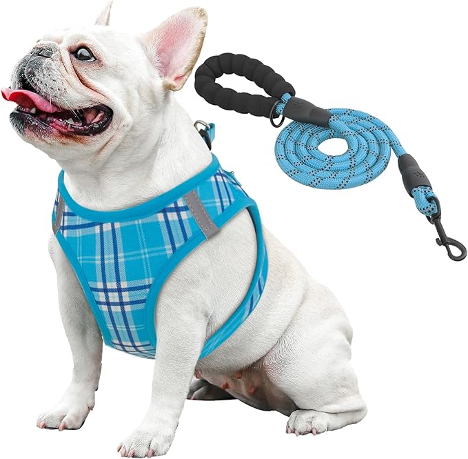 Athena Collection Step-in Dog Harness with 5 ft Leash, Medium Dog Harness Leash Set Large No Pull Dog Vest Harness with Reflective Strips Adjustable Velcro, Easy Walk Dog Harness, Blue