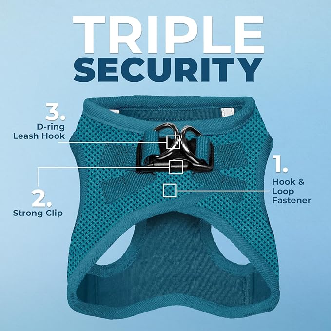 Voyager Step-In Air Dog Harness - All Weather Mesh, Reflective, No Pull Harness for Small, Medium Dogs, Cats - Secure with Hook & Loop Fastener, Buckle, Double D-Rings - Turquoise, XXXS