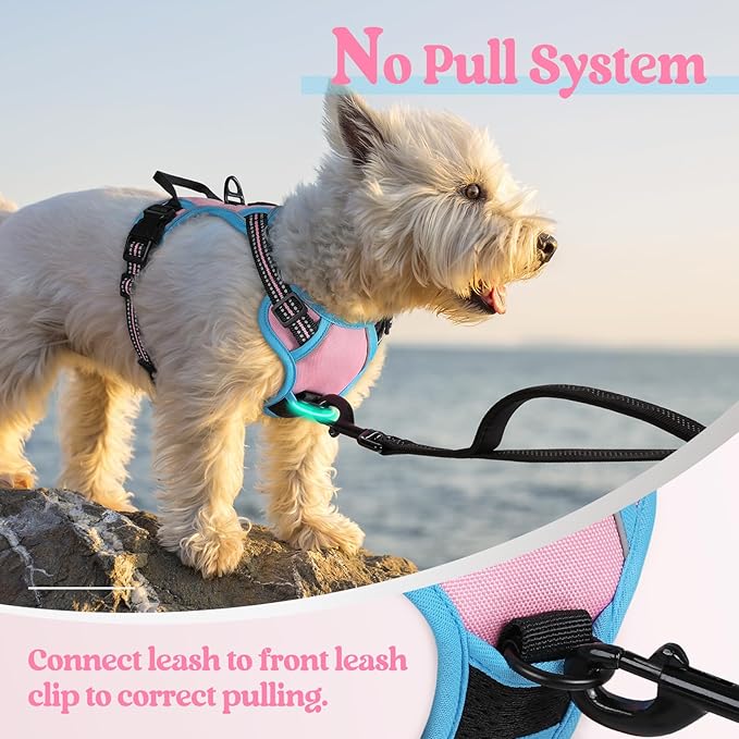 rabbitgoo Dog Harness, No-Pull Pet Harness with 2 Leash Clips, Adjustable Soft Padded Dog Vest, Reflective No-Choke Pet Oxford Vest with Easy Control Handle for Large Dogs, Pink & Blue, X-Small