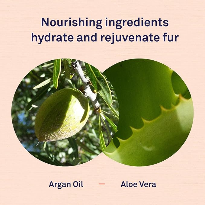 Petpost | Waterless Argan Shampoo Spray for Dogs with Sensitive Skin - Naturally Nourishing Coat Cleaner & Deodorizer for Healthier, Shinier Fur - Rinse Free Formula 8 oz.