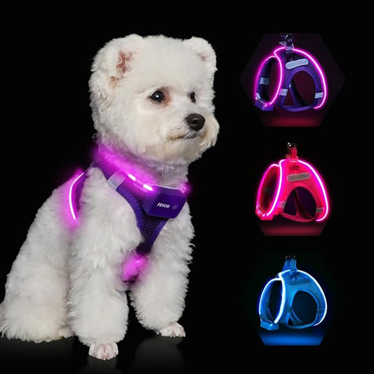 Light Up Dog Harness,LED Dog Harness Rechargeable, Lighted Dog Vest Harness for Night Walking,Reflective Safety Vest for Small Medium Large Dogs,Adjustable Soft Mesh,Purple,Large