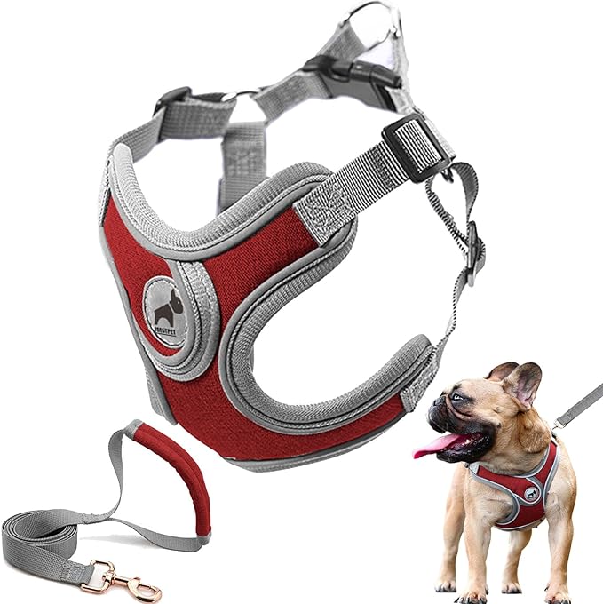 Dog Harness with Leash, Soft Adjustable Step in Reflective Strips Dog Collars Harness Vest Harness for Small Medium Dogs Training and Running(M, Red)