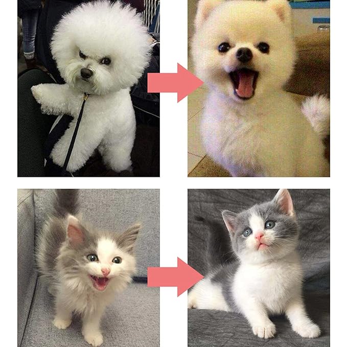 Cleaning Slicker Brush, Pet Grooming Tool Pet Brush Comfortable Design Smoothly Plastic+Stainless for Fluffing for Small Pets for Medium Pets for Tidying