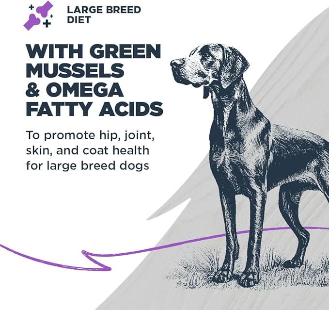 Blackwood Large Breed Dry Dog Food, Whitefish with Ancient Grains, 10 Pound Bag for Adult Dogs, Slow Cooked with Green Mussels to Promote Hip & Joint Health