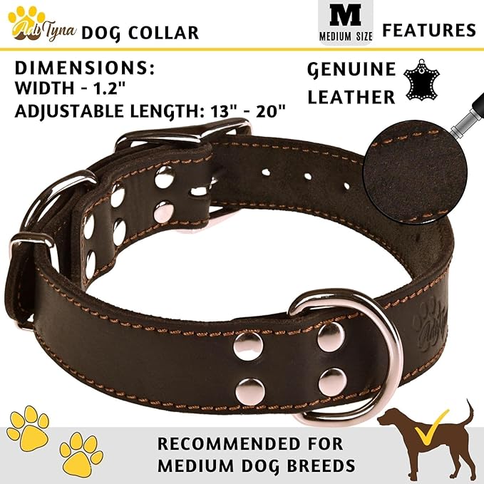 ADITYNA Heavy Duty Black Leather Dog Collar - Soft and Strong Dog Collar for Medium Dogs (Medium: Fit 13" - 20" Neck, Black)