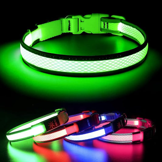 BSEEN LED Dog Collar Light- USB Rechargeable Light Up Dog Collars, Adjustable Mesh Reflective Puppy Collars for Night Dog Walking (Neon Green- Small- Collar)