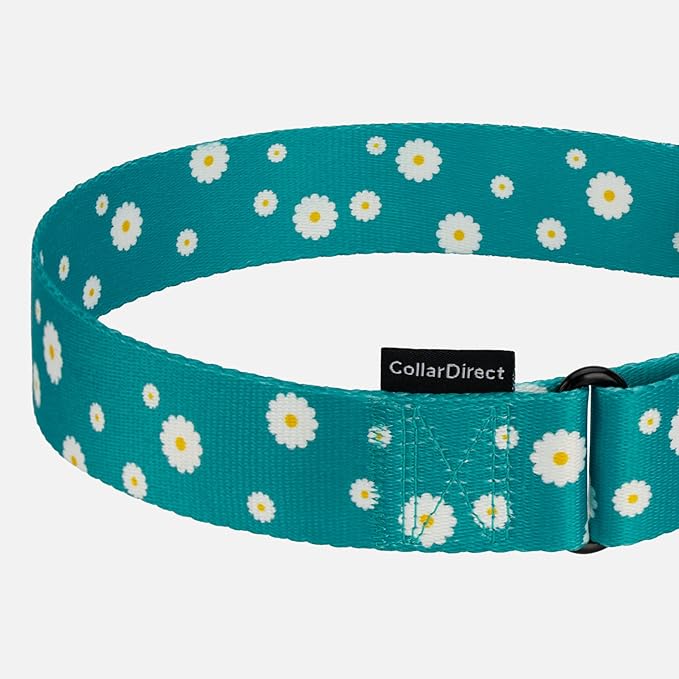 CollarDirect Martingale Collars for Dogs Heavy Duty Floral Pattern Female Safety Nylon Training Wide Collar Flower Design Large Medium (M, Neck Size 12"-17", Aquamarine)