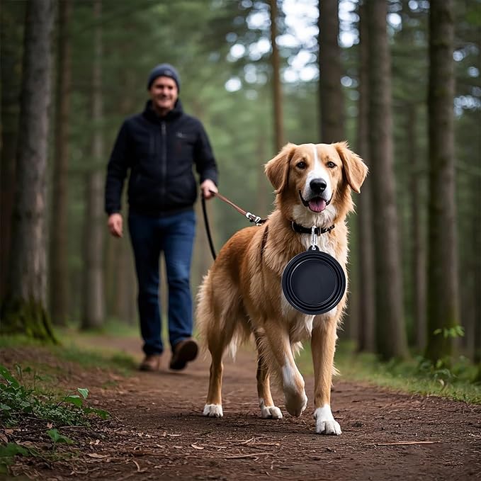 Dog Bowl Pet Collapsible Bowls, 2 Pack Collapsible Dog Water Bowls for Cats Dogs, Portable Pet Feeding Watering Dish for Walking Parking Traveling with 2 Carabiners (Black+Pink, Medium)