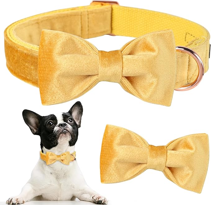 ARING PET Bowtie Dog Collar-Velvet Dog Collars with Detachable Bowtie, Adorable&Soft Yellow Dog Collar.