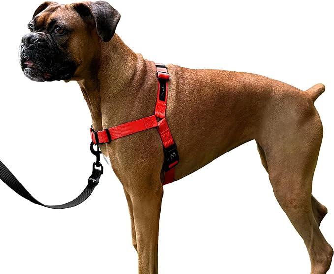 ShawnCo Dream Walk No-Pull Dog Harness- Adjustable, Comfortable, Easy to Use Pet Halter to Help Stop Pulling for Small, Medium and Large Dogs (Mustang Red, XS)