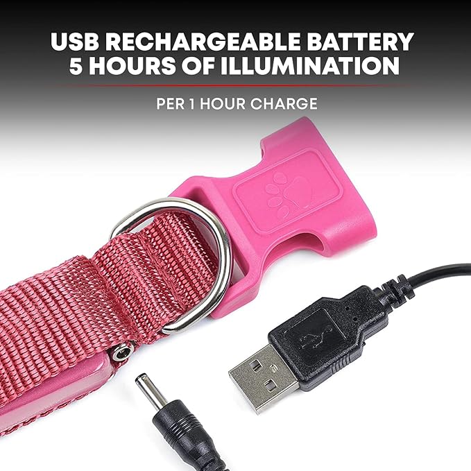 Illumiseen LED Dog Collar USB Rechargeable - Bright & High Visibility Lighted Glow Collar for Pet Night Walking - Weatherproof, in 6 Colors & 6 Sizes (Pink X-Large)