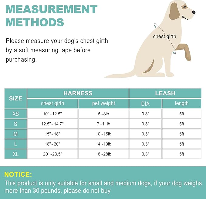 haapaw Dog Harness with Leash Set, No Pull Adjustable Reflective Step-in Puppy Harness with Thickened Padded Vest for Extra-Small/Small Medium Dogs