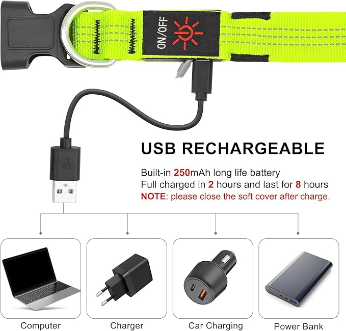 BSEEN Light Up Dog Collar - Glowing LED Dog Collar, Reflective Dog Collar, Adjustable Lighted Dog Collar, Rechargeable Puppy Collar for Night Walking (Green-II, Small)