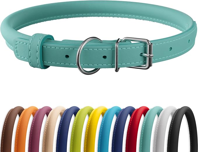 CollarDirect Rolled Leather Dog Collar, Soft Padded Round Puppy Collar, Handmade Genuine Leather Collar Dog Small Large Cat Collars 13 Colors (6-7 Inch, Mint Green Smooth)