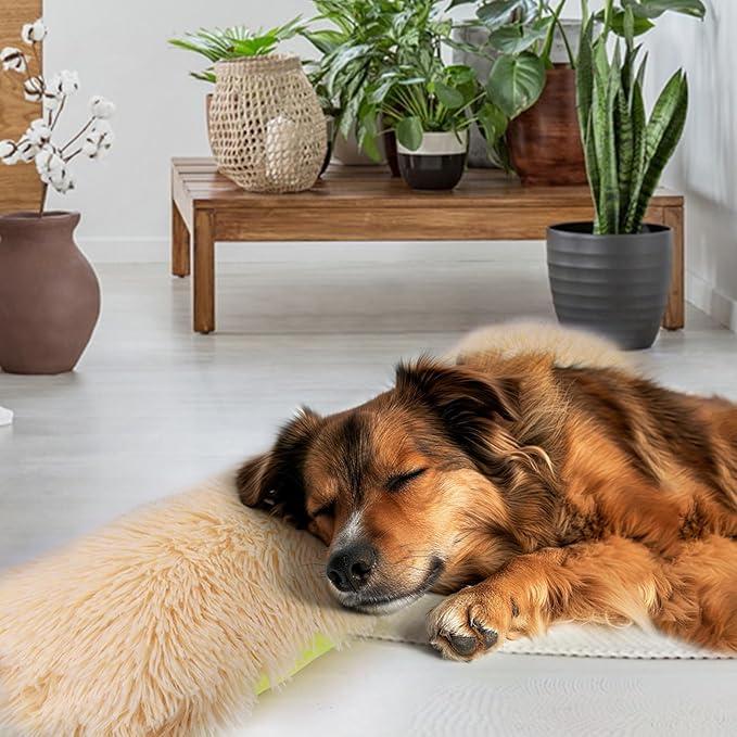 Mity rain Dog Pillow, Dog Calming Pillow for Anxiety Relive, Double Side Long Pillow for Large and Medium Dogs Joint Relief Sleeping Improve, Pet Calming Toy Yellow