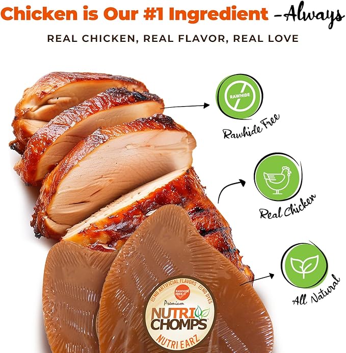 NutriChomps Nutri Ears-Easy to Digest, Rawhide-Free Dog Treats, Bundle of 10, Real Chicken Flavor, Brown (NT082V-10)