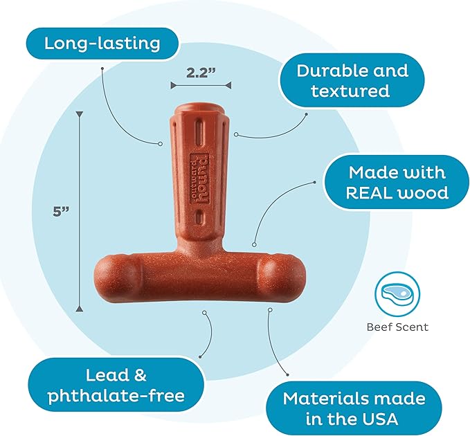Outward Hound Dogwood Hold & Chew Durable Dog Chew Toy, Beef Scent, Large