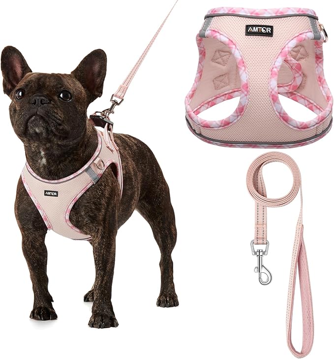 AMTOR Small Dog Harness with Leash Set, No Escape Easy Walk Puppy Harnesses for Training Walking, Step-in Reflective Soft Dogs Vest for XS S Medium Extra-Small Large Sized Dog(Pink,XL)