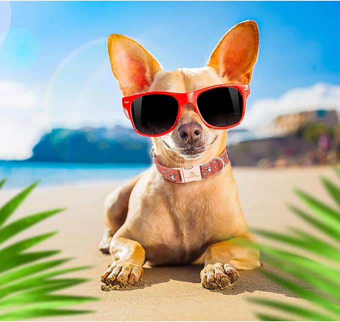 Lionheart glory Dog Collar Shark Print Bow Dog Collar Girl or Boy Dog Collar Pet Gift Adjustable Dog Collar for Small Dog