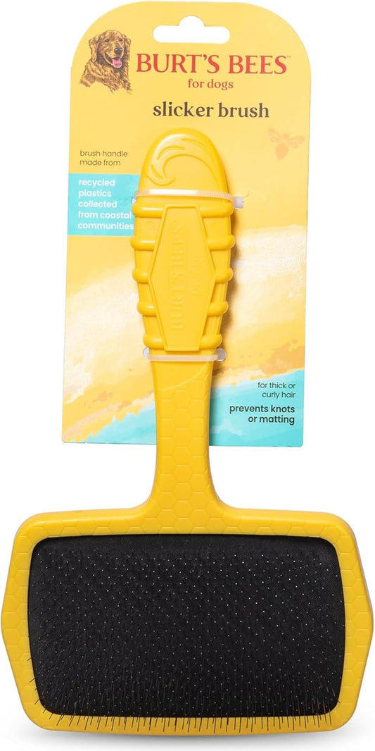 Burt’s Bees for Pets Large Slicker Brush for Dogs with Thick or Curly Hair with Handle Made from Recycled Plastics Collected from Coastal Communities | De-Shedding Dog Brush Removes Knots and Matting