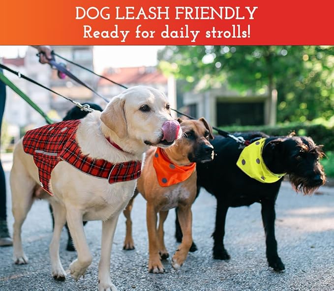 SPOT THE DOG! Reflective Dog Bandanas - High Visibility Safety Dog Accessories for Small, Large Dogs, Orange Collar, Scarf, Kerchief, Bib for Hunting, Camping, Walking at Night (Blaze Orange, XS-S)