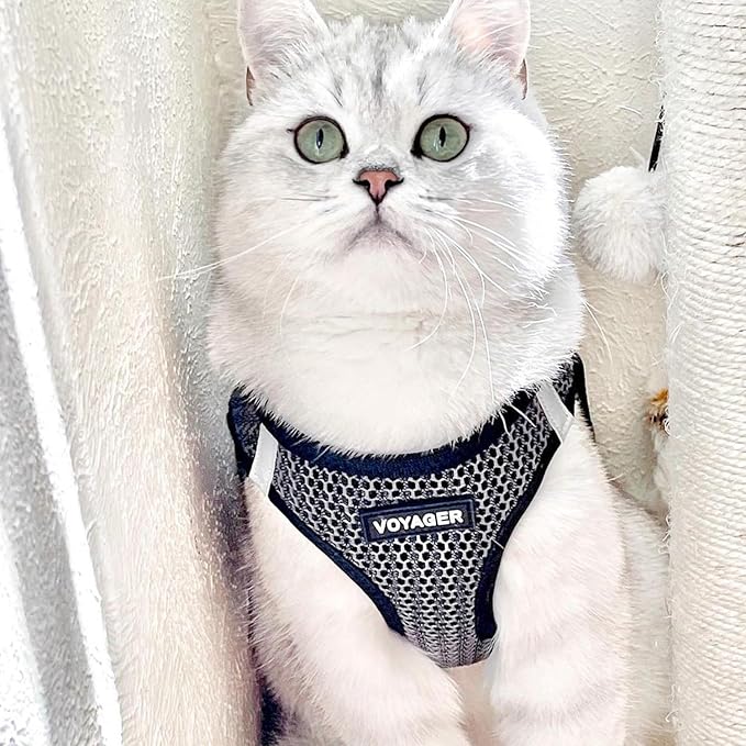 Voyager Step-in Air Dog Harness - All Weather Mesh, Reflective, No Pull Harness for Small, Medium Dogs, Cats - Secure with Hook & Loop Fastener, Buckle, Double D-Rings - Gray 2-Tone, L