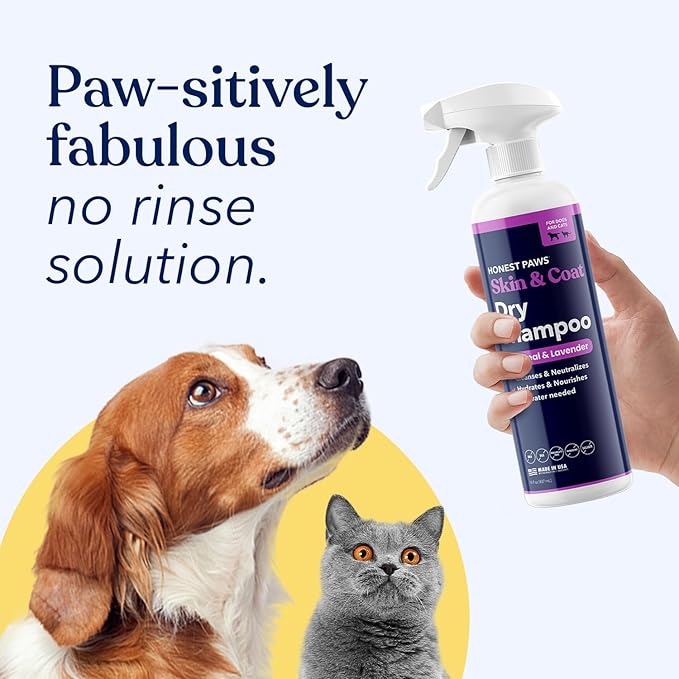 Honest Paws Dog Dry Shampoo - Waterless No Rinse Spray Formula Reducing Itch Cleanse Hydrate Nourish Dry Skin and Smelly Coat Help Decrease Odor Shedding and Allergies - Oatmeal & Lavender - 16 oz