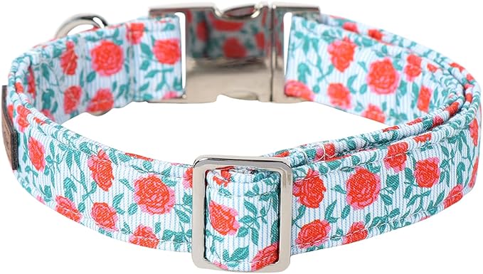 Lionet Paws Dog Collar, Comfortable Adjustable Cute Collar with Metal Buckle for Male Female Puppies Gift, Rose, XS, Neck 8-12 inches