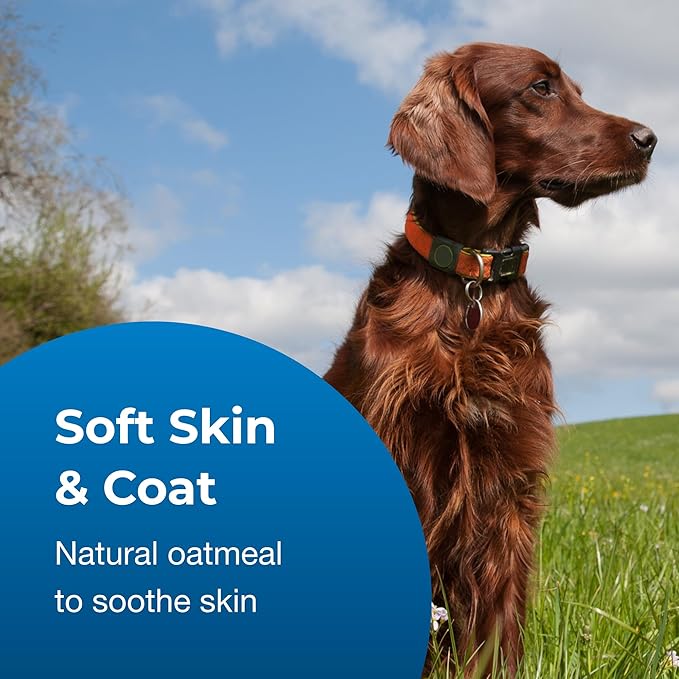 PetAg Fresh ’n Clean Oatmeal ’n Baking Soda Shampoo - Tropical Fresh Scent (10:1 Concentrate) - 1 Gallon - Nurtures Dry, Itchy Skin with Vitamin E & Aloe - Strengthens & Repairs - Soap Free