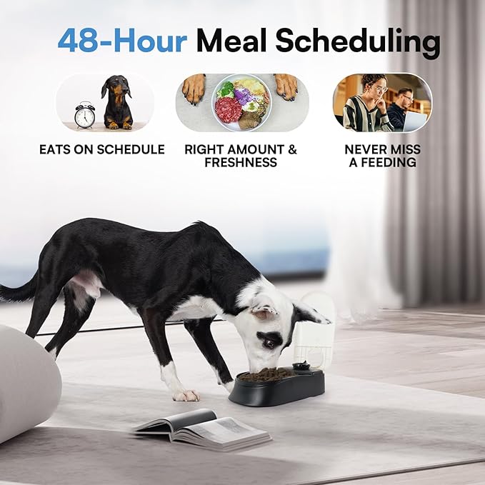 PAWISE Automatic Pet Feeder for Dogs and Cats, 1.5 Cup Food Dispenser Feeder with 48-Hour Timer - Single