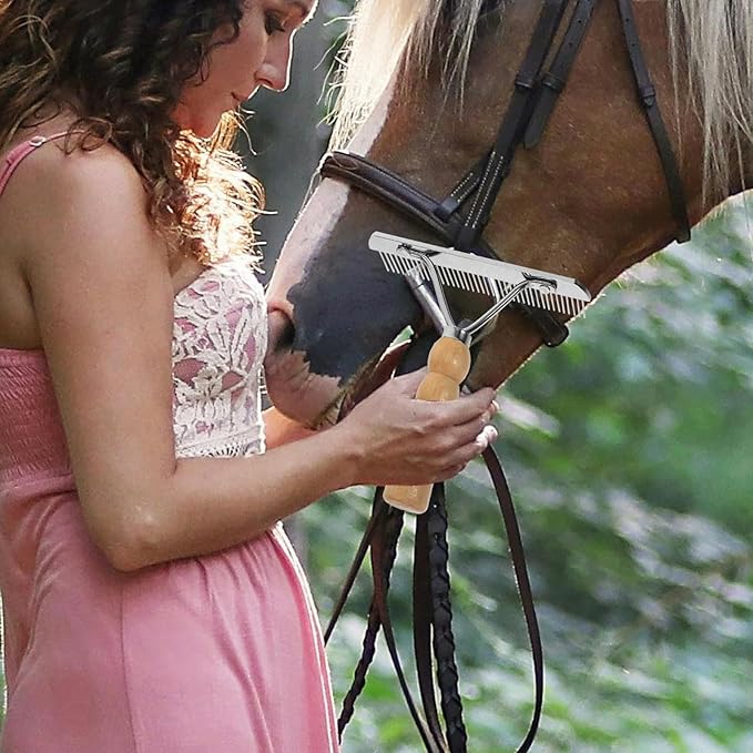 balacoo 2Pcs Horse Nail Rake Comb - Pet Horse Hair Comb, Horse Brush Steel Comb for Hair, Pet Mane Pulling Tool, Pet Horse Hair Brush, Mane Brush Dog Deshedding Brush