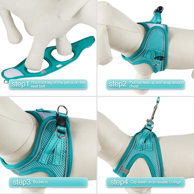YIMEIS Dog Harness and Leash Set, No Pull Soft Mesh Pet Harness, Reflective Adjustable Puppy Vest for Small Medium Large Dogs, Cats (Turquoise, Small (Pack of 1)