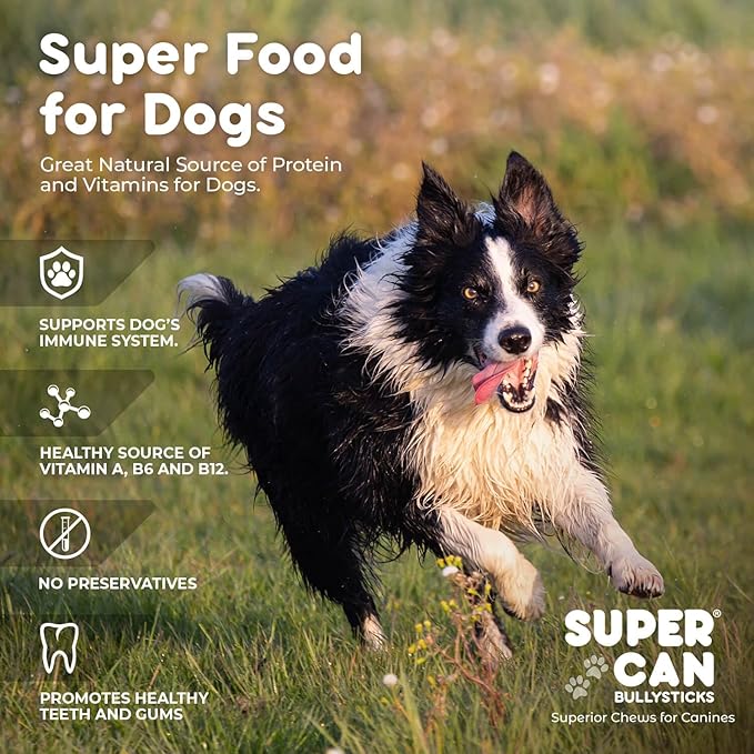 SUPER CAN BULLYSTICKS Pig Snouts for Dogs (8-Pack) 100% Natural Dog Chews - Non-GMOs Fully Digestible - Thick Whole Pork Chews - Long Lasting Dental Dog Treats - Softer Than Bully Sticks and Pig Ears