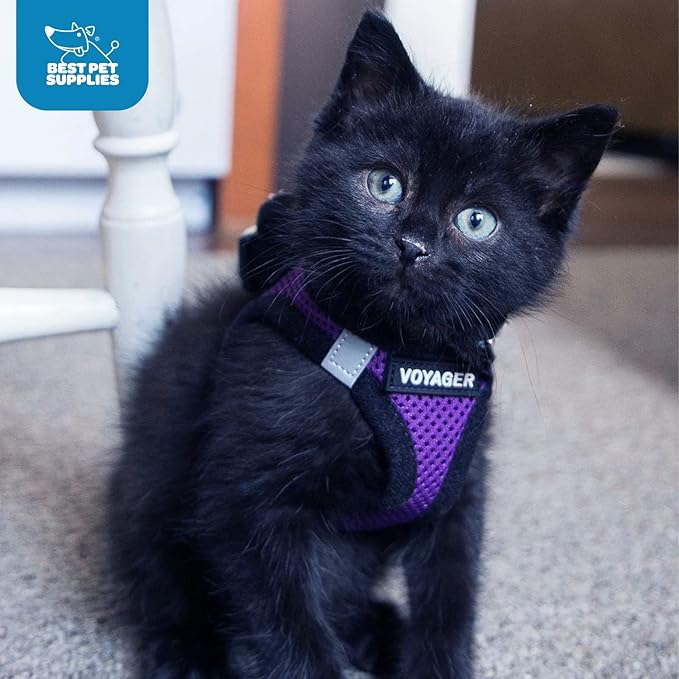 Voyager Step-in Air Dog Harness - All Weather Mesh, Reflective, No Pull Harness for Small, Medium Dogs, Cats - Secure with Hook & Loop Fastener, Buckle, Double D-Rings - Purple/Black Trim, XXS