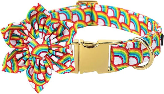 Lionet Paws Rainbow Female Dog Collar with Flower, Soft and Comfortable Adjustable LGBT Pride Collar for Dogs, Medium, Neck 13.5-22 inches