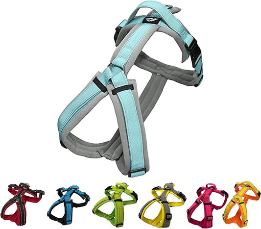 [白山:Hakusan] Zero Dog Harness Made by Japan, Safe - No chocking/Hard to Disconnect, Great fit - Easy Put on and Off/Adjustable, Reflector, S - Medium Dog, Two-Tone Gray × Mint