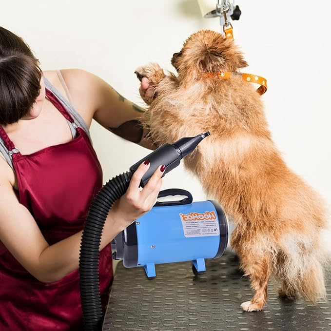Dog Dryer, High Velocity Dog Hair Dryer, Dog Blow Dryer - Groomer Partner Pet Blower Grooming Force Dryer with Heater, Stepless Adjustable Speed, 4 Different Nozzles, Comb & Pet Grooming Glove (Blue)