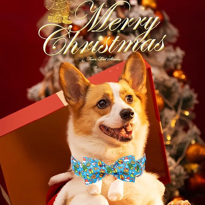 Maca Bates Christmas Dog Collar with Bow Bowtie for Dogs Sailor Bow Tie Adjustable Breakaway Blue Collars Accessories Gift for Small Medium Large XL Puppy with Golden Metal Buckle