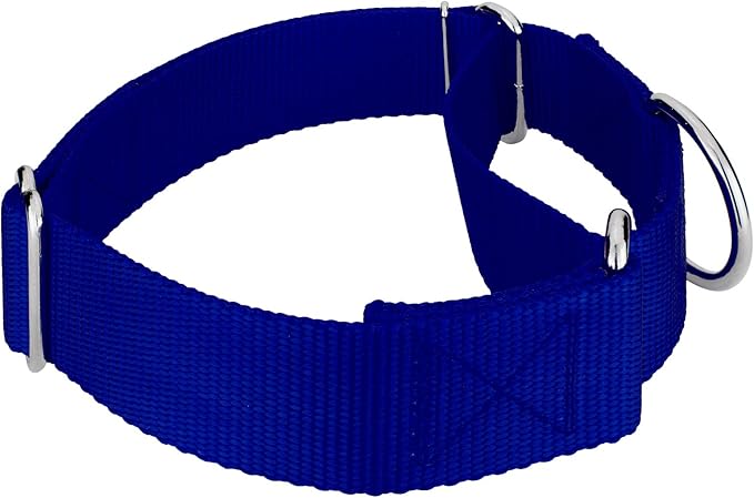 Country Brook Petz 1 1/2 Inch Martingale Heavy Duty Nylon Adjustable Dog Collar for Small, Medium, Large Breeds - Vibrant 17 Color Selection (Royal Blue, Medium)