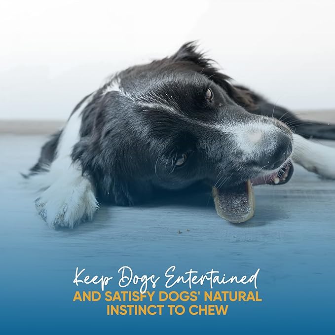 Filled Cow Hooves for Dogs, Delicious Peanut Butter Flavor, Stuffed Natural Beef Hoof Dog Chews, Tasty Treats for Dog, Made from Premium Brazilian Cattle, Pack of 3 Count