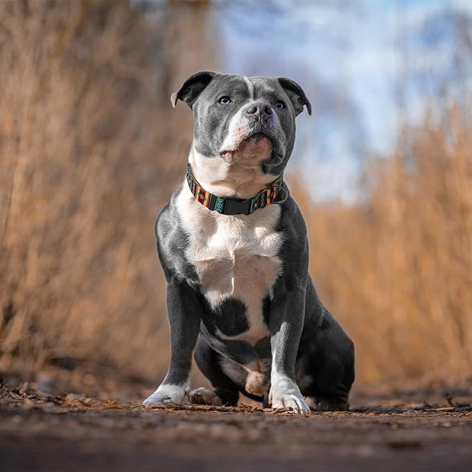 Southwest Dog Collar Tribal Pattern Adjustable Puppy Pet Collars for Small Medium Large Dogs Aztec Print (Tribal, Neck Fit 14"-18")