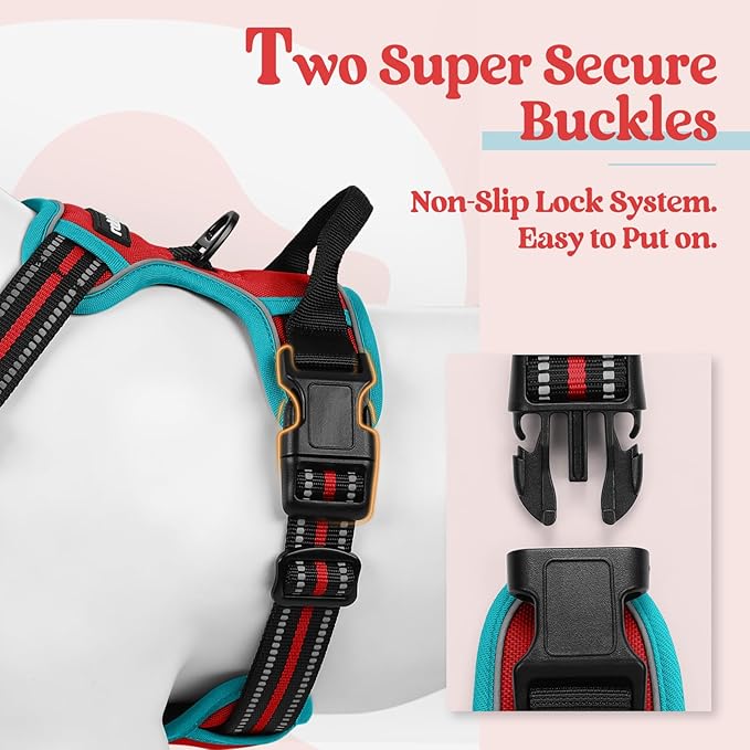 rabbitgoo Dog Harness, No-Pull Pet Harness with 2 Leash Clips, Adjustable Soft Padded Dog Vest, Reflective No-Choke Pet Oxford Vest with Easy Control Handle for Large Dogs, Red & Teal, L