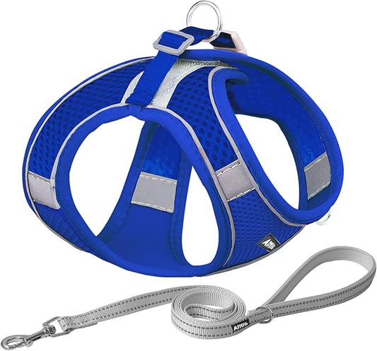 AIITLE Easy Walk Dog Harness and Leash Set - Pet Supply No Pull, Step in Adjustable Dog Harness with Padded Vest for Spring, Dog Harness No Choke Over, Easy to Put on Medium Dogs Royal Blue L