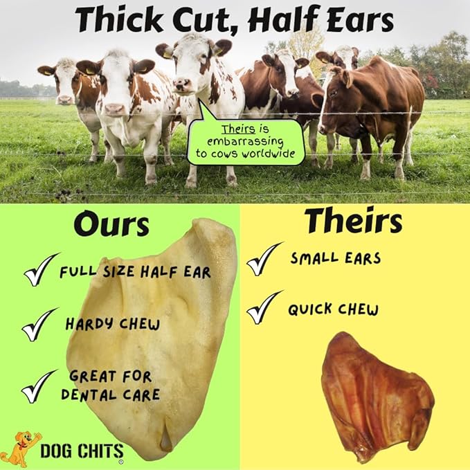 Dog Chits Cow Ears for Dogs and Puppies | 10 Pack | All Natural Half Ears | Made in USA | No Preservatives | 100% Grass Fed Beef | Single Ingredient | Nothing Added | Great for Dogs