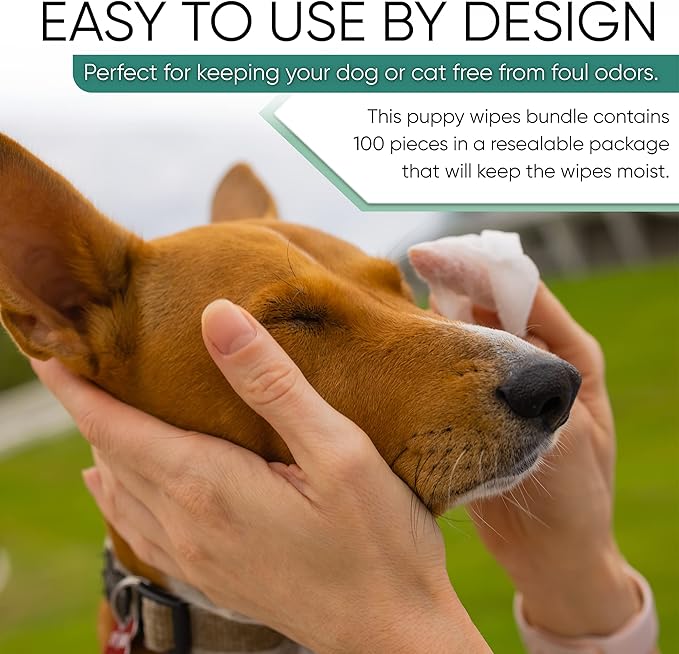 MAGICARE Dog Wipes for Paws, Butt, Ears & Eyes – 100 Extra Wet & Thick Unscented Grooming Pet Wipes for Dogs & Cats – Deodorizing, Hypoallergenic – Made in USA