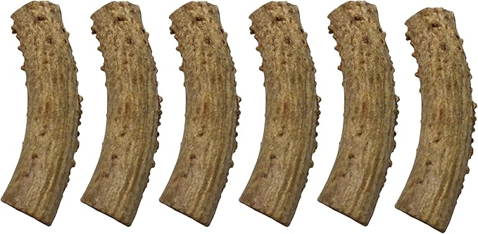 CHEW CHIEF Deer Antler Dogs Medium Breeds - Premium Quality Dog Antlers for Aggressive Chewers - Naturally Shed Dog Chew Antlers - Dog Antler Chews (6 Pack)