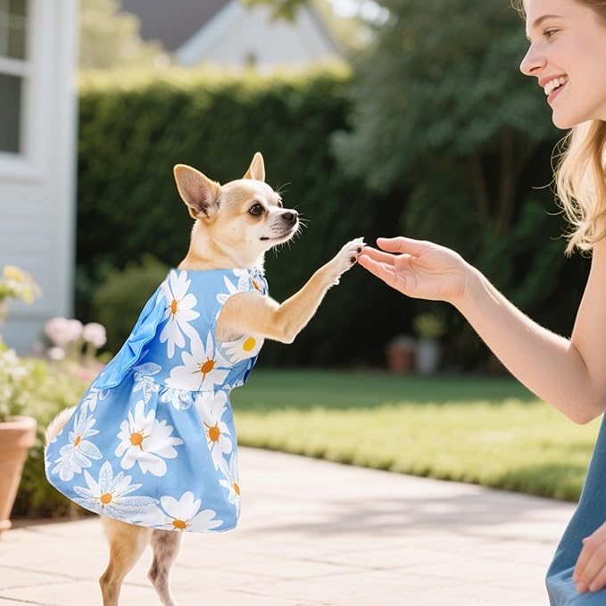 choyaxo Floral Dog Dress Cute Dog Skirt Pet Dress Summer Pet Clothes for Puppy Small Cats