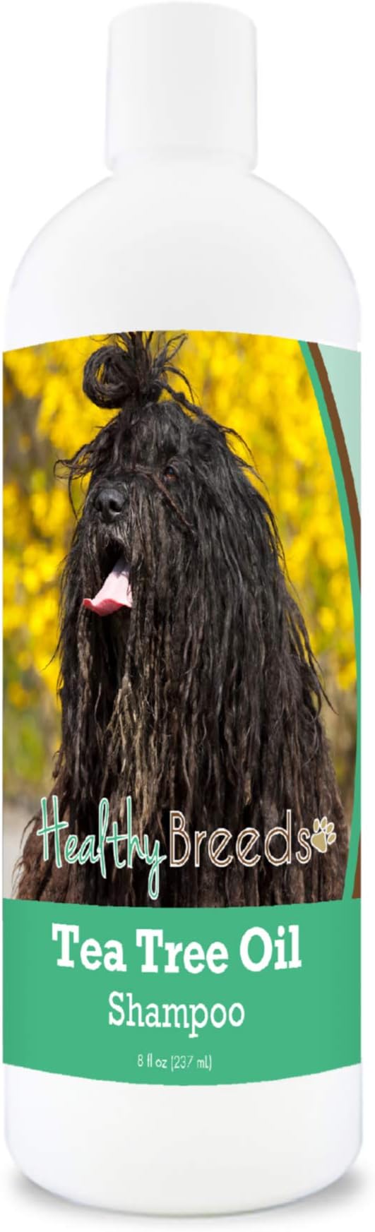 Healthy Breeds Bergamasco Tea Tree Oil Shampoo – Formulated for Dry, Irritated Skin – Reduce Dandruff – Wintergreen Scent – 8 oz